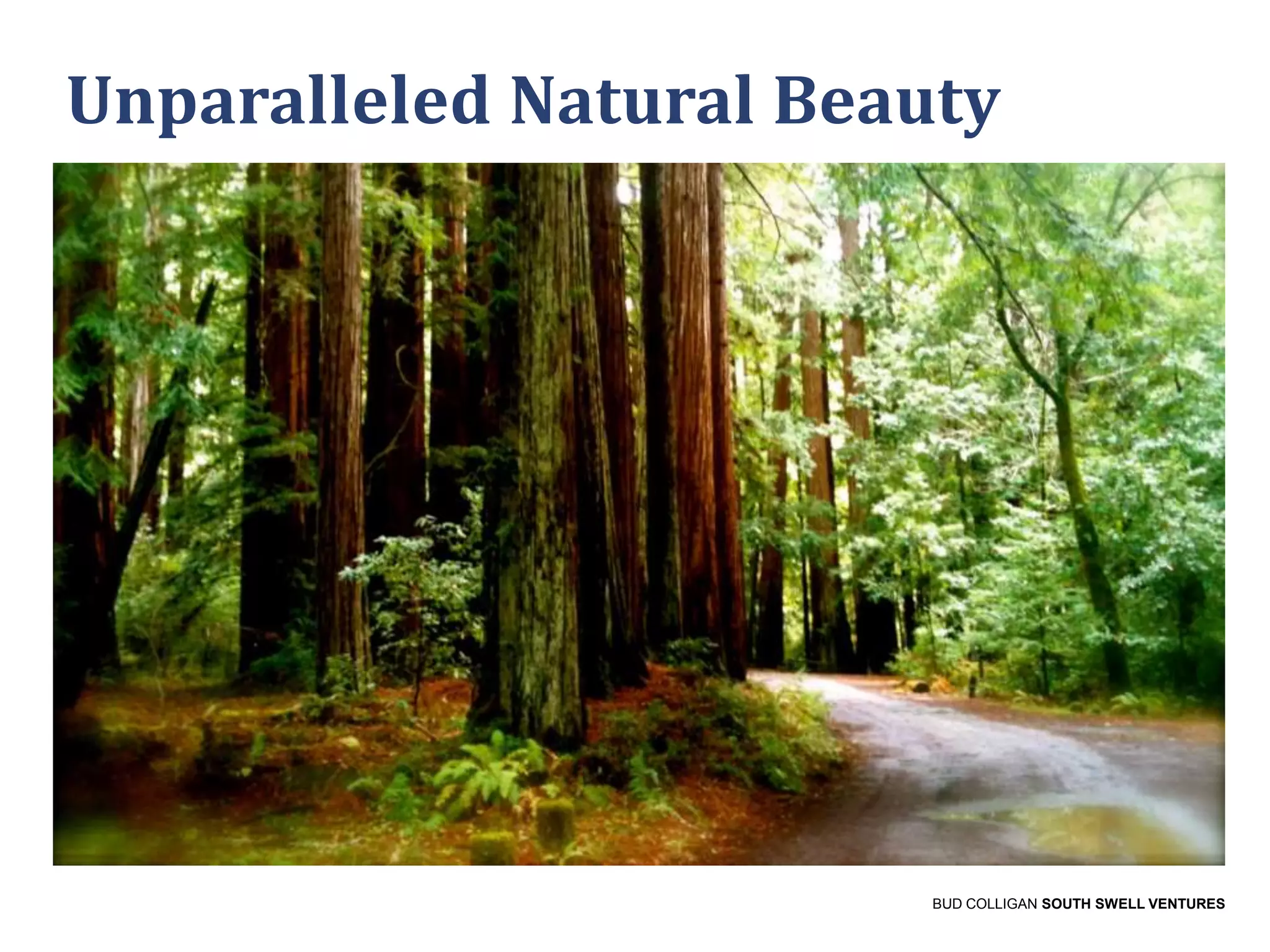 Unparalleled Natural Beauty

BUD COLLIGAN SOUTH SWELL VENTURES

 