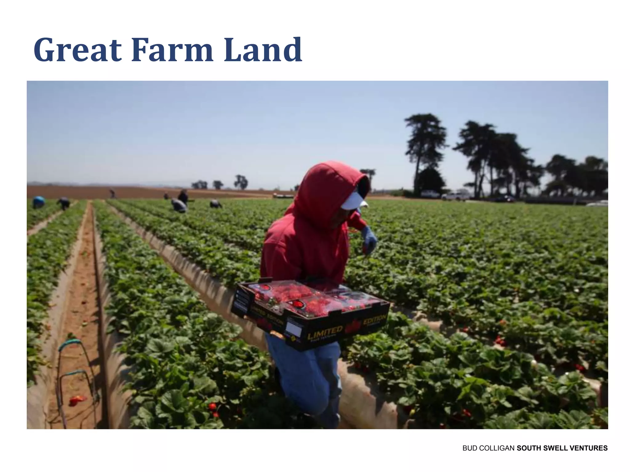 Great Farm Land

BUD COLLIGAN SOUTH SWELL VENTURES

 