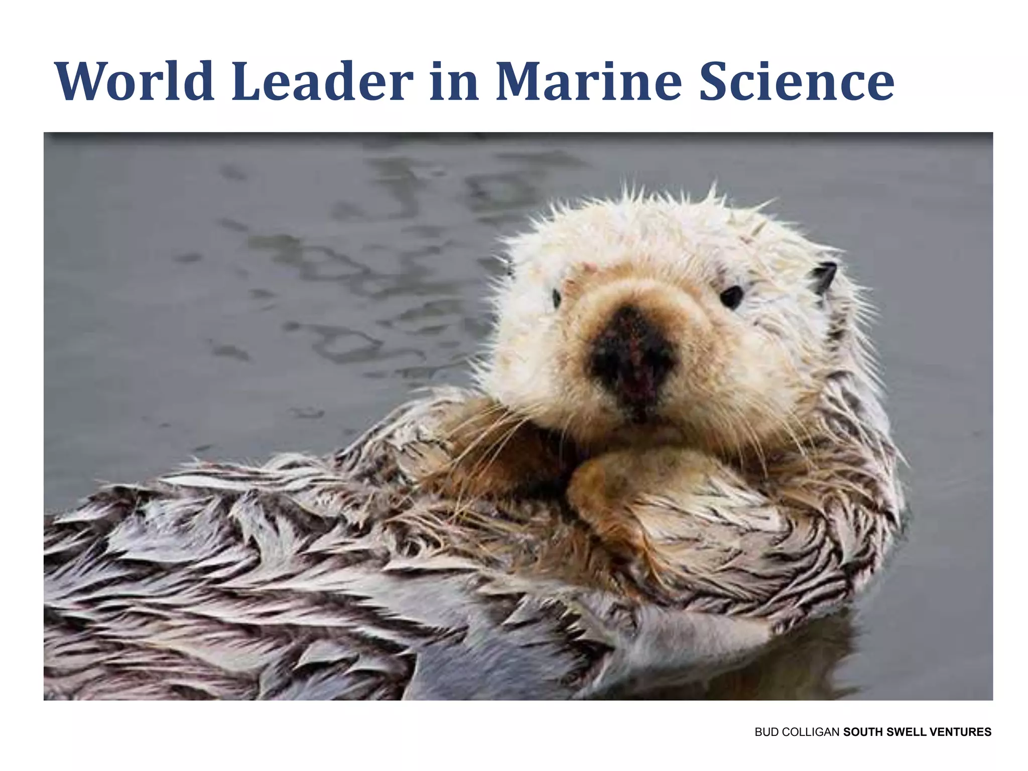 World Leader in Marine Science

BUD COLLIGAN SOUTH SWELL VENTURES

 