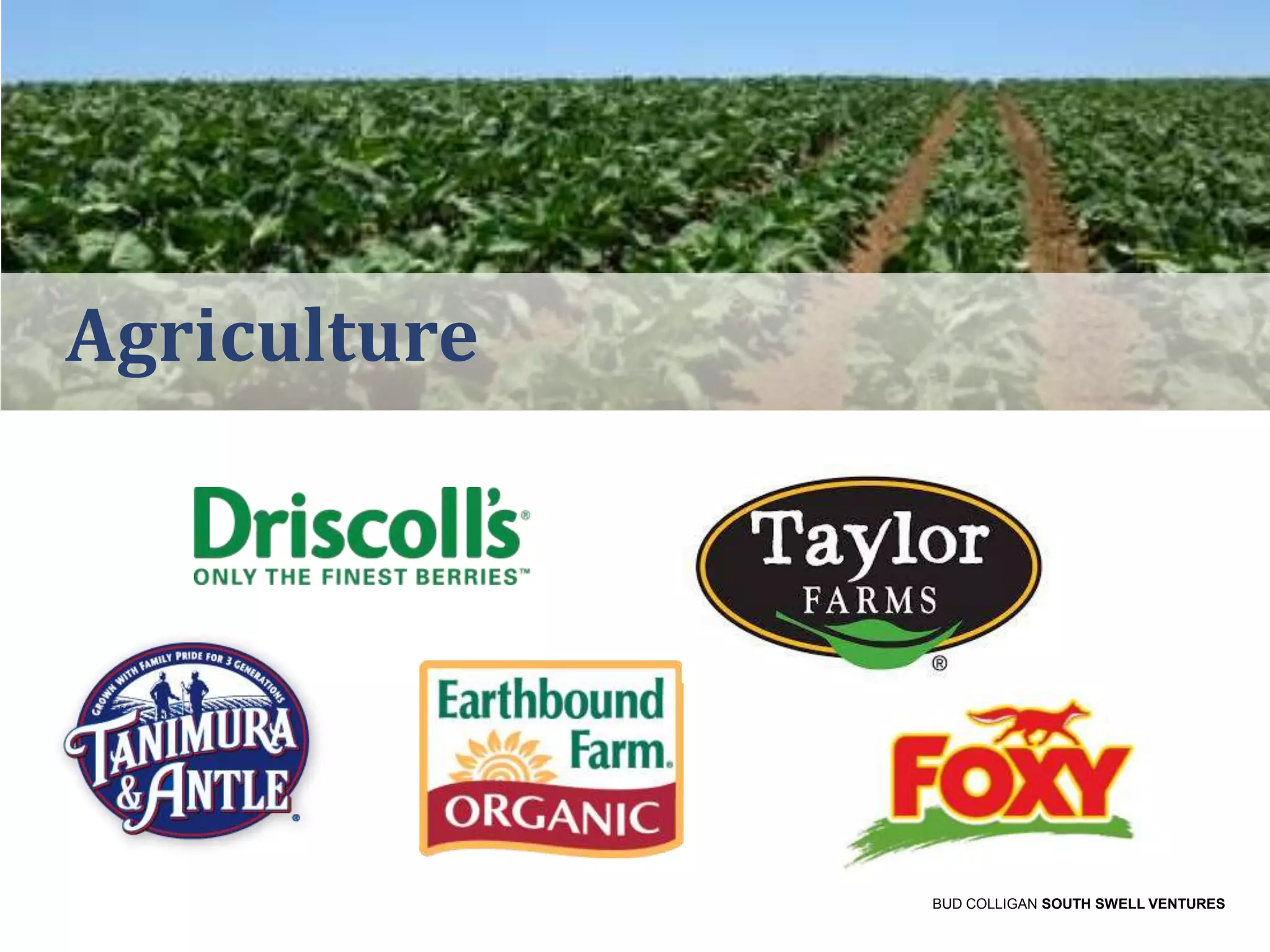 Agriculture

BUD COLLIGAN SOUTH SWELL VENTURES

 