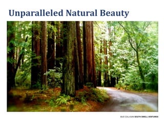 Unparalleled Natural Beauty

BUD COLLIGAN SOUTH SWELL VENTURES

 