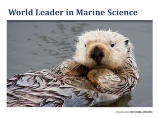 World Leader in Marine Science

BUD COLLIGAN SOUTH SWELL VENTURES

 