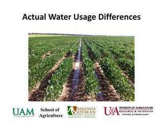 Actual Water Usage Differences
 