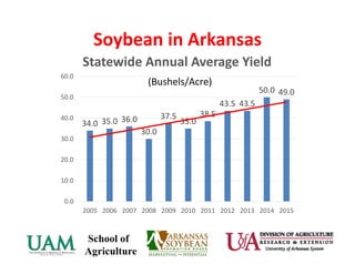 Soybean in Arkansas
34.0 35.0 36.0
30.0
37.5
35.0
38.5
43.5 43.5
50.0 49.0
0.0
10.0
20.0
30.0
40.0
50.0
60.0
2005 2006 2007 2008 2009 2010 2011 2012 2013 2014 2015
Statewide Annual Average Yield
(Bushels/Acre)
 