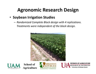 Agronomic Research Design
• Soybean Irrigation Studies 
– Randomized Complete Block design with 4 replications.  
Treatments were independent of the block design.
 