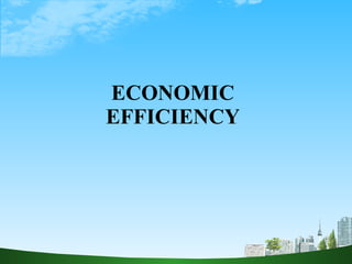 ECONOMIC EFFICIENCY 