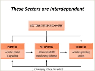 These Sectors are Interdependent
 