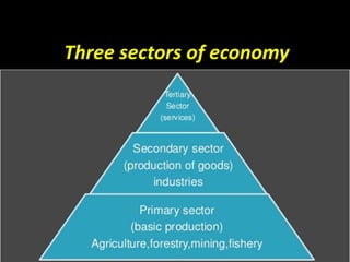 Three sectors of economy
 
