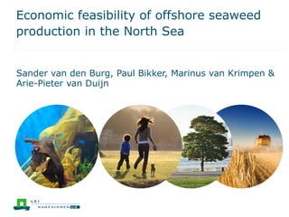 Economic feasibility of offshore seaweed
production in the North Sea
Sander van den Burg, Paul Bikker, Marinus van Krimpen &
Arie-Pieter van Duijn
 