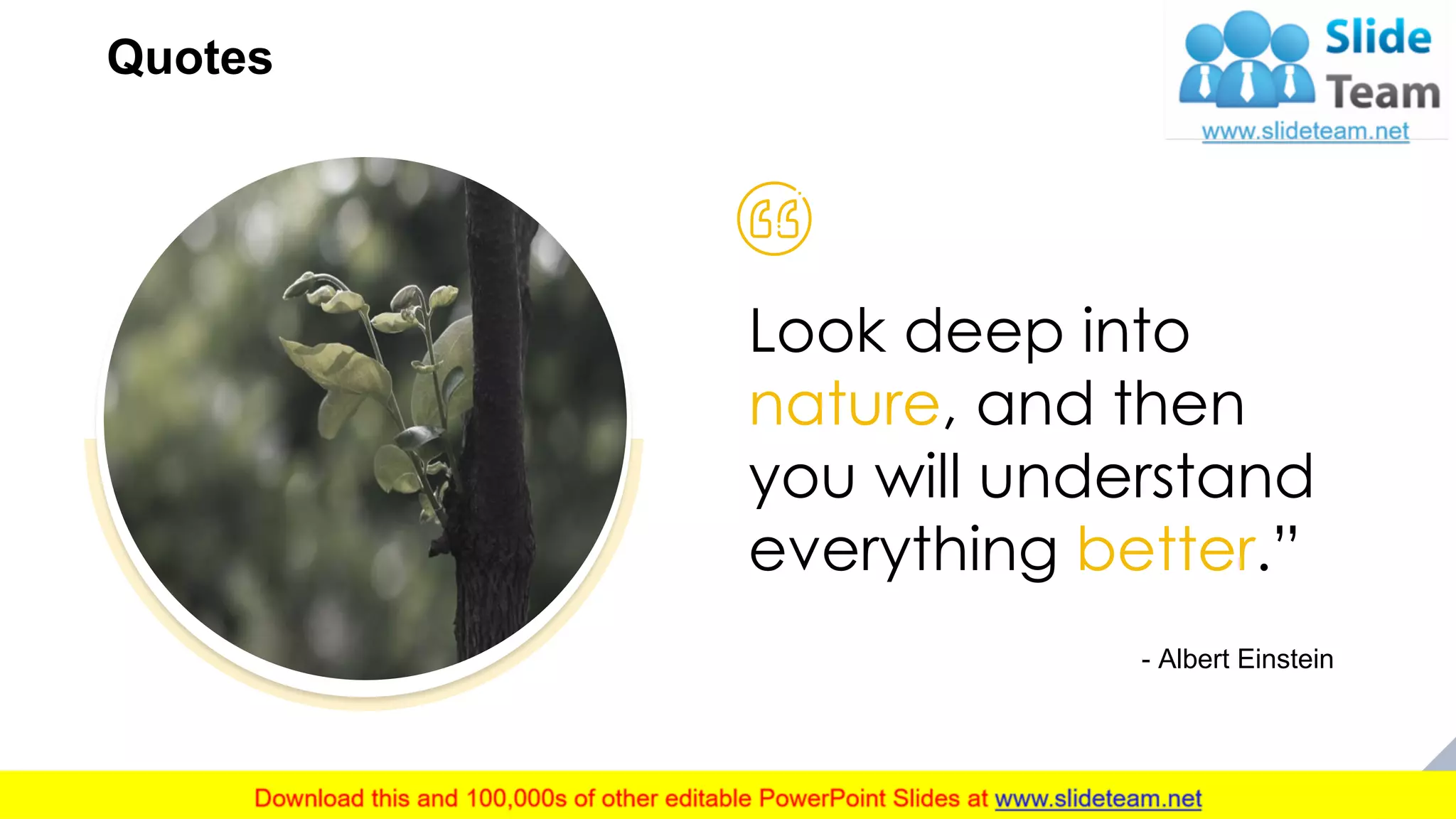 Look deep into
nature, and then
you will understand
everything better.”
- Albert Einstein
29
Quotes
 