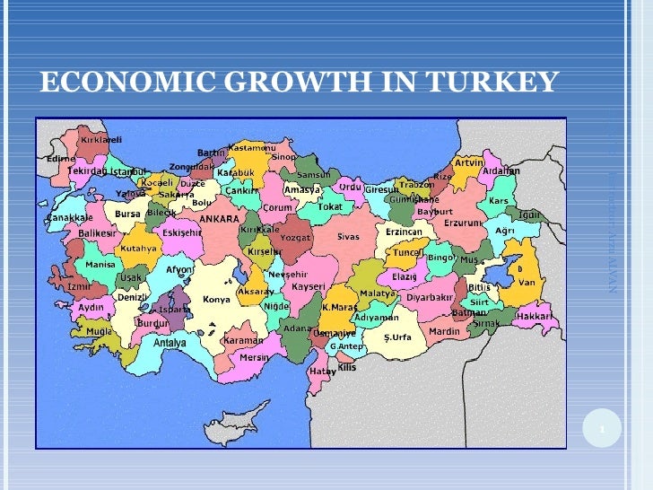 Economic Development TennTurkey