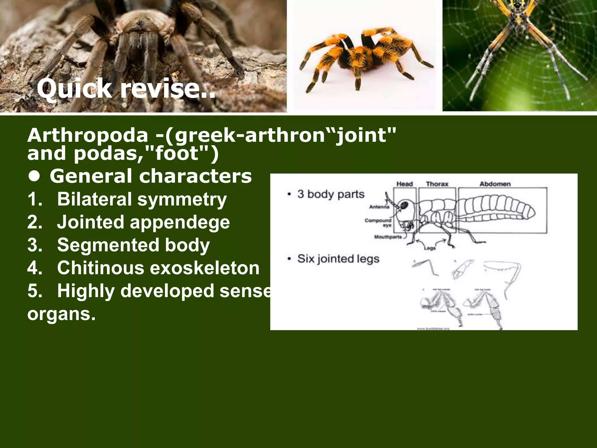 Economic important of arthropods | PPTX