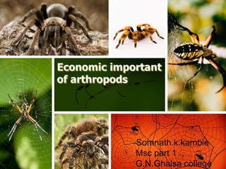 Economic important of arthropods | PPTX