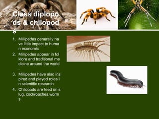Economic important of arthropods | PPTX