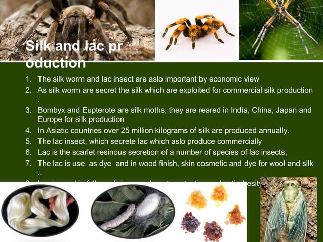 Economic important of arthropods | PPTX
