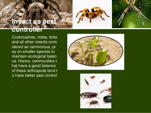 Economic important of arthropods