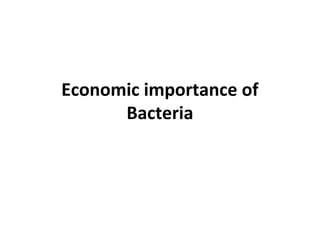 Economic importance of
Bacteria
 