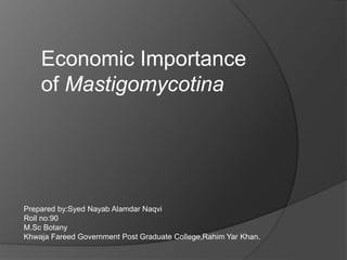 Economic Importance
of Mastigomycotina
Prepared by:Syed Nayab Alamdar Naqvi
Roll no:90
M.Sc Botany
Khwaja Fareed Government Post Graduate College,Rahim Yar Khan.
 