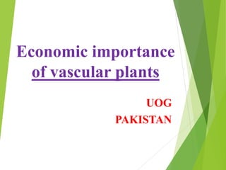 Economic importance
of vascular plants
UOG
PAKISTAN
 
