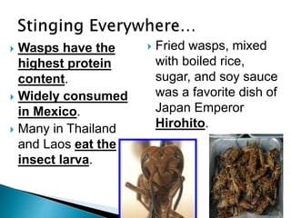  Wasps have the
highest protein
content.
 Widely consumed
in Mexico.
 Many in Thailand
and Laos eat the
insect larva.
 Fried wasps, mixed
with boiled rice,
sugar, and soy sauce
was a favorite dish of
Japan Emperor
Hirohito.
 