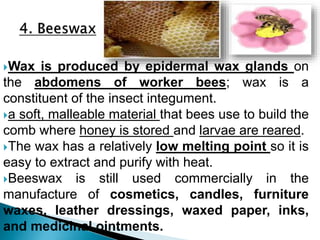 Wax is produced by epidermal wax glands on
the abdomens of worker bees; wax is a
constituent of the insect integument.
a soft, malleable material that bees use to build the
comb where honey is stored and larvae are reared.
The wax has a relatively low melting point so it is
easy to extract and purify with heat.
Beeswax is still used commercially in the
manufacture of cosmetics, candles, furniture
waxes, leather dressings, waxed paper, inks,
and medicinal ointments.
 