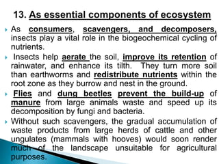  As consumers, scavengers, and decomposers,
insects play a vital role in the biogeochemical cycling of
nutrients.
 Insects help aerate the soil, improve its retention of
rainwater, and enhance its tilth. They turn more soil
than earthworms and redistribute nutrients within the
root zone as they burrow and nest in the ground.
 Flies and dung beetles prevent the build-up of
manure from large animals waste and speed up its
decomposition by fungi and bacteria.
 Without such scavengers, the gradual accumulation of
waste products from large herds of cattle and other
ungulates (mammals with hooves) would soon render
much of the landscape unsuitable for agricultural
purposes.
 