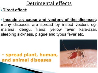 Direct effect:
1.Insects as cause and vectors of the diseases:
many diseases are spread by insect vectors eg-
malaria, dengu, filaria, yellow fever, kala-azar,
sleeping sickness, plague and typus fever etc.
- spread plant, human,
and animal diseases
 