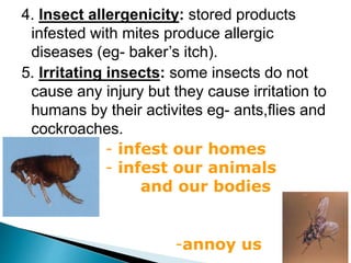 4. Insect allergenicity: stored products
infested with mites produce allergic
diseases (eg- baker’s itch).
5. Irritating insects: some insects do not
cause any injury but they cause irritation to
humans by their activites eg- ants,flies and
cockroaches.
- infest our homes
- infest our animals
and our bodies
-annoy us
 