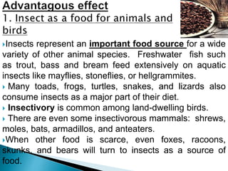 Insects represent an important food source for a wide
variety of other animal species. Freshwater fish such
as trout, bass and bream feed extensively on aquatic
insects like mayflies, stoneflies, or hellgrammites.
 Many toads, frogs, turtles, snakes, and lizards also
consume insects as a major part of their diet.
 Insectivory is common among land-dwelling birds.
 There are even some insectivorous mammals: shrews,
moles, bats, armadillos, and anteaters.
When other food is scarce, even foxes, racoons,
skunks, and bears will turn to insects as a source of
food.
 