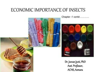 ECONOMIC IMPORTANCE OF INSECTS
Dr. JeevanJyoti, PhD
Asst. Professor,
ACHS, Asmara
Chapter -1 contd…………
 