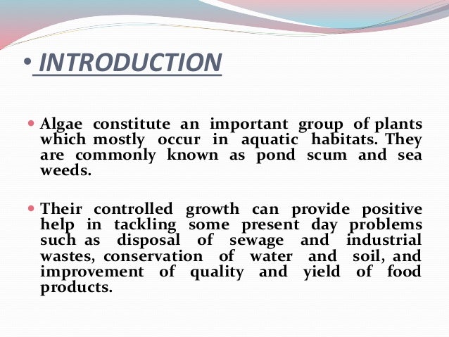 write an essay on the economic importance of algae
