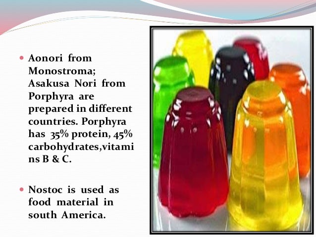 Economic Importance Of Algae 1