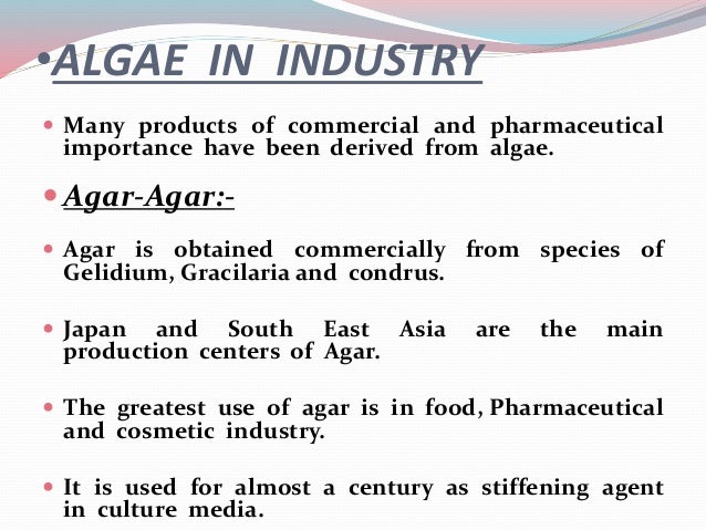 Economic Importance Of Algae 1