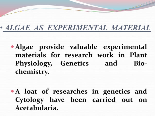 Economic Importance Of Algae 2
