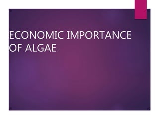 ECONOMIC IMPORTANCE
OF ALGAE
 