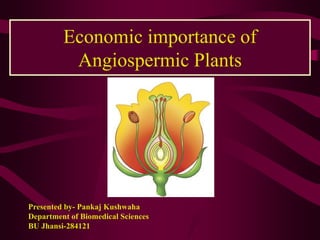 Economic importance of
Angiospermic Plants
Presented by- Pankaj Kushwaha
Department of Biomedical Sciences
BU Jhansi-284121
 