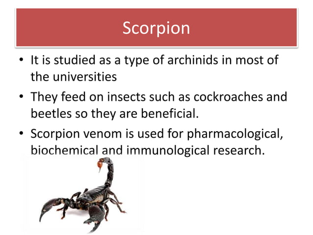 Economic importance of arthopoda | PPT