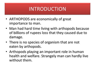 Economic importance of arthopoda | PPT