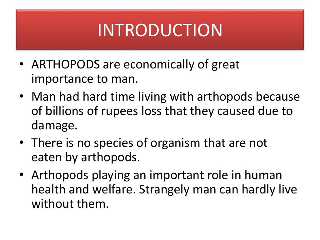 Economic Importance Of Arthopoda