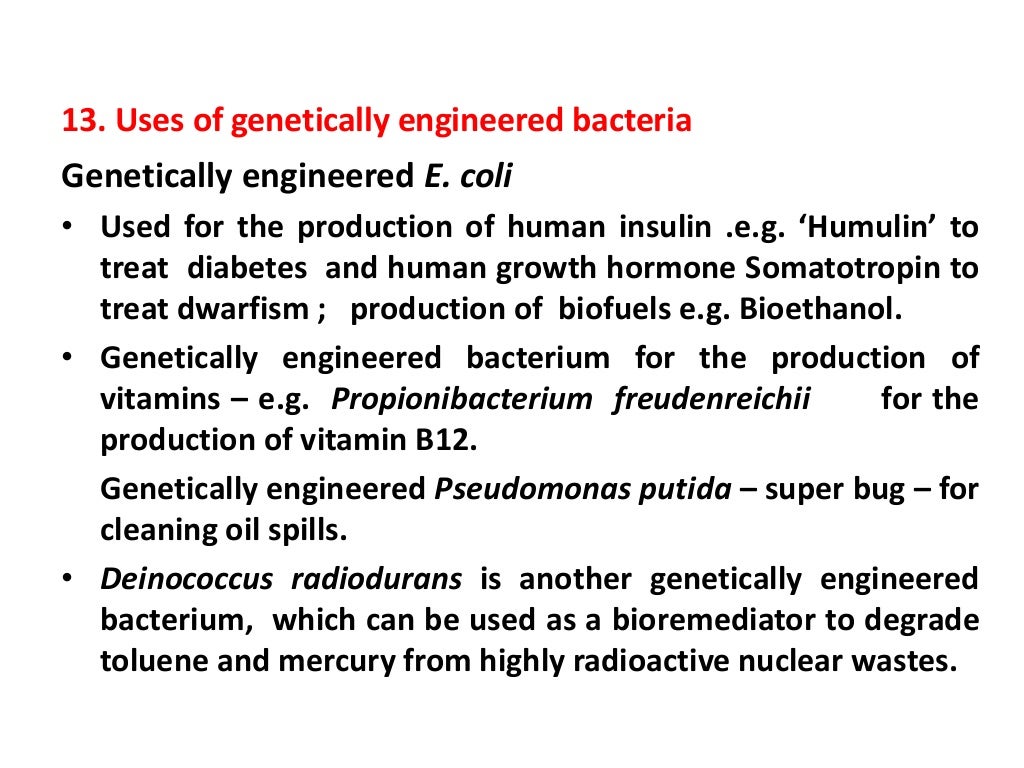 Economic Importance of Bacteria SMG