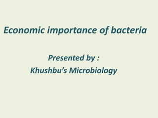 Economic importance of bacteria
Presented by :
Khushbu’s Microbiology
 