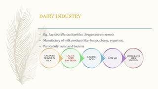 DAIRY INDUSTRY
– Eg. Lactobacillus acidophilus, Streptococcus cremois
– Manufacture of milk products like- butter, cheese, yogurt etc.
– Particularly lactic acid bacteria
COAGULATES
MILK
PROTEIN
LOW pH
LACTIC
ACID
LACTIC
ACID
BACTERIA
LACTOSE
SUGAR IN
MILK
 