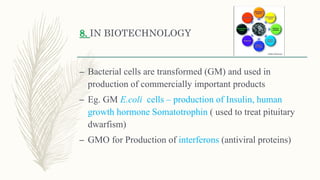 8. IN BIOTECHNOLOGY
– Bacterial cells are transformed (GM) and used in
production of commercially important products
– Eg. GM E.coli cells – production of Insulin, human
growth hormone Somatotrophin ( used to treat pituitary
dwarfism)
– GMO for Production of interferons (antiviral proteins)
 