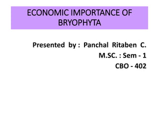 ECONOMIC IMPORTANCE OF
BRYOPHYTA
Presented by : Panchal Ritaben C.
M.SC. : Sem - 1
CBO - 402
 