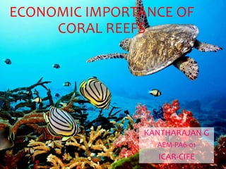 ECONOMIC IMPORTANCE OF
CORAL REEFS
KANTHARAJAN G
AEM-PA6-01
ICAR-CIFE
 