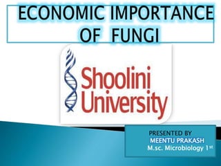 PRESENTED BY
MEENTU PRAKASH
M.sc. Microbiology 1st
 