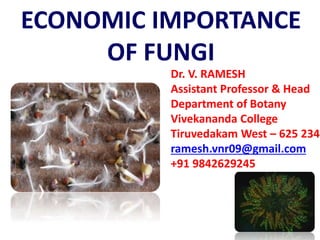 ECONOMIC IMPORTANCE
OF FUNGI
Dr. V. RAMESH
Assistant Professor & Head
Department of Botany
Vivekananda College
Tiruvedakam West – 625 234
ramesh.vnr09@gmail.com
+91 9842629245
 