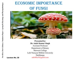 Economic Importance
of Fungi
Presented by:
Dr. Ankit Kumar Singh
Assistant Professor
Department of Botany
Marwari College
Lalit Narayan Mithila University
Darbhanga
ankitbhu30@gmail.com
For
B.Sc.
Part
I
(Hons.)
Students
(Paper-
1
group
B
(Mycology
and
Phytopathology)
Lecture No. 30
 