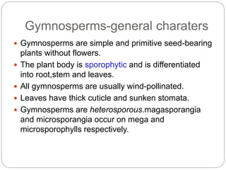 Gymnosperms-general charaters
Gymnosperms are simple and primitive seed-bearing
plants without flowers.
The plant body is sporophytic and is differentiated
into root,stem and leaves.
All gymnosperms are usually wind-pollinated.
Leaves have thick cuticle and sunken stomata.
Gymnosperms are heterosporous.magasporangia
and microsporangia occur on mega and
microsporophylls respectively.