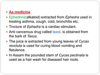  As medicine
Ephedrine(alkaloid) extracted from Ephedra used in
treating asthma, cough, cold, bronchitis etc.
Tincture of Ephedra is a cardiac stimulant.
Anti cancerous drug called taxol, is obtained from
the bark of Taxus.
The juice is extracted from young leaves of Cycas
revoluta is used for curing blood vomiting and
flatulence.
In Assam the pounded stem of Cycas pectinata is
used as a hair wash for diseased hair roots.